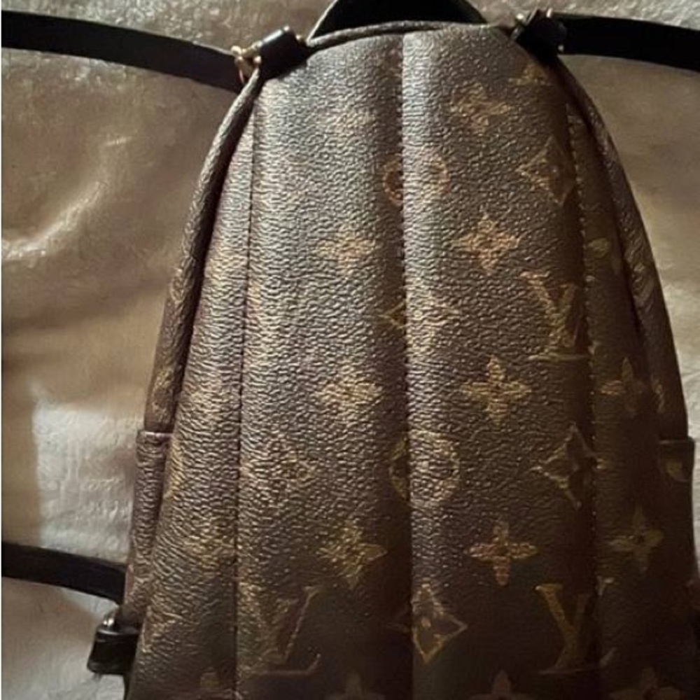 Louis Vuitton mini Palm Springs back pack